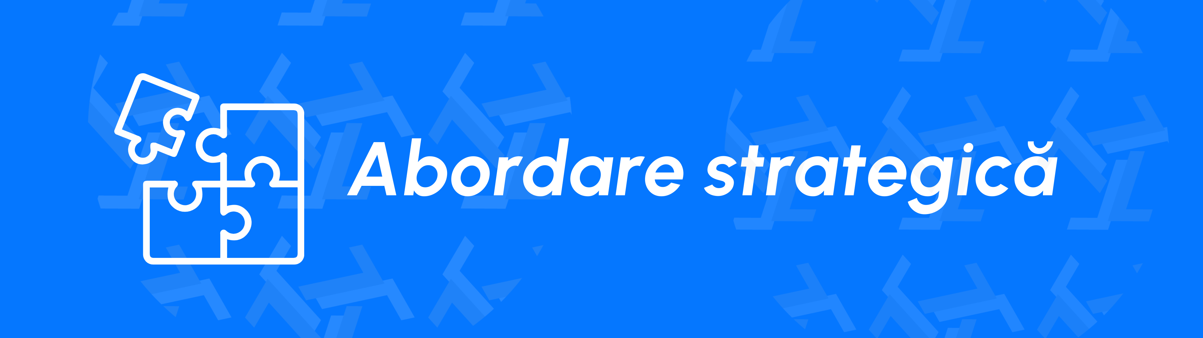 bannere site Leadership TT 1